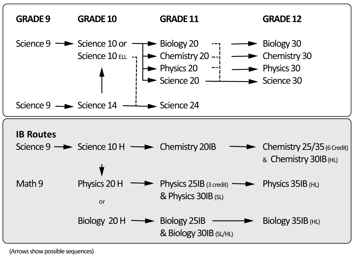Science flowchart