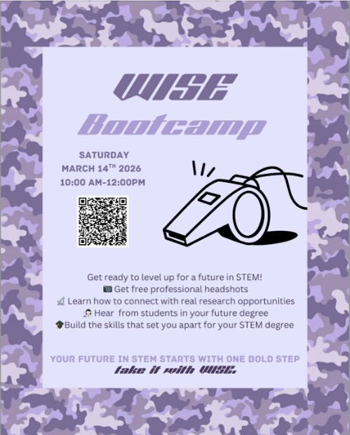 WISE Bootcamp
